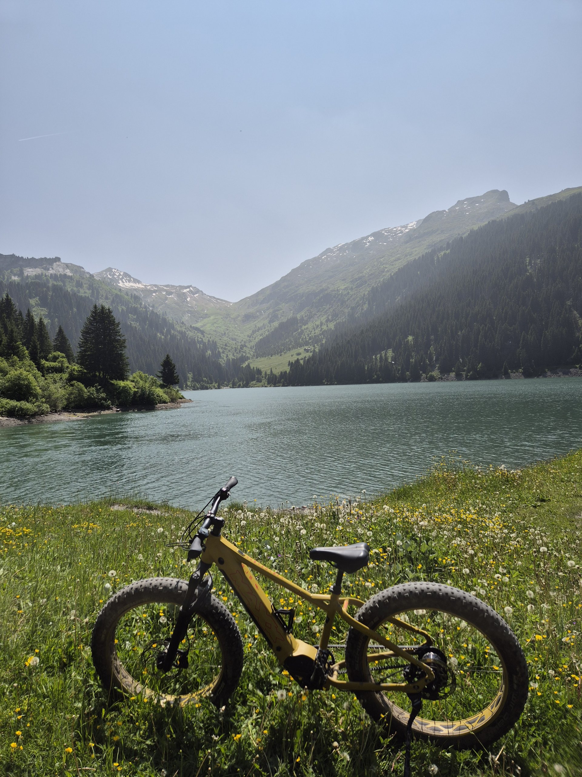 FATBIKE